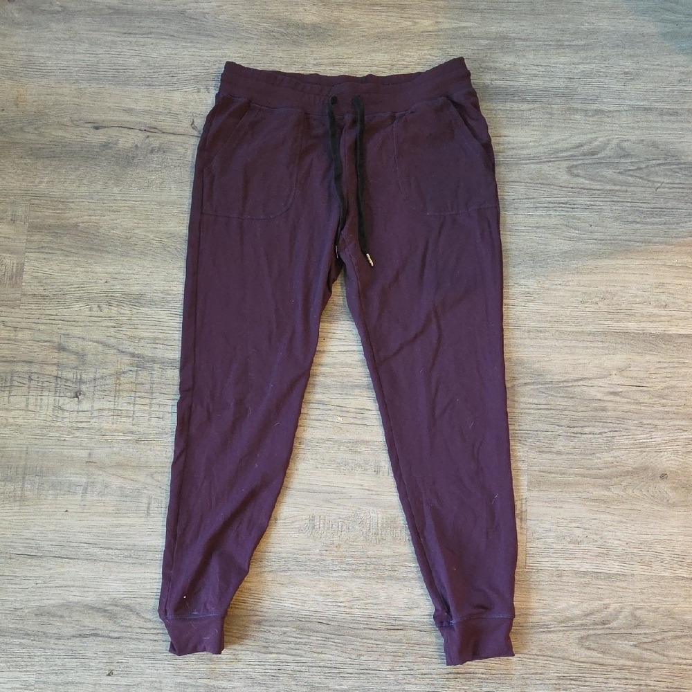 ZYIA Active Deep Purple Joggers